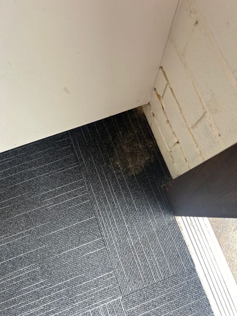 Image showing stained commercial carpet tiles near a white wall and doorway.