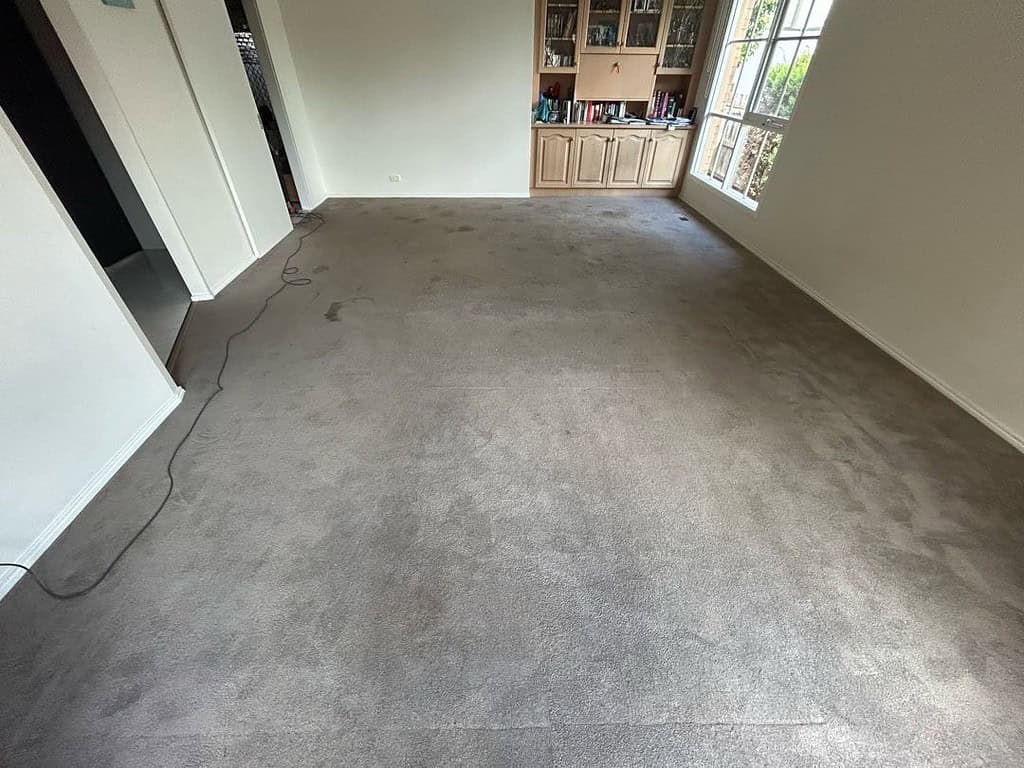 Room with clean carpet, wooden cabinet, and large windows providing natural light.