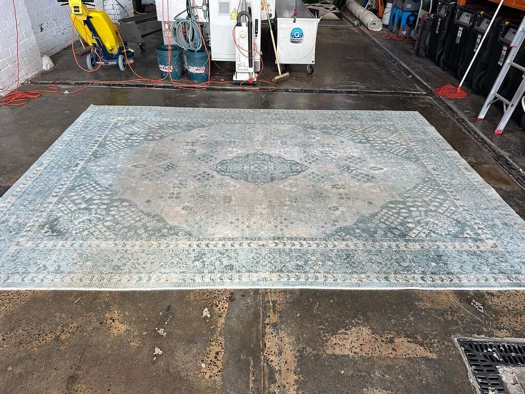 Patterned blue and gray rug on a concrete floor with cleaning equipment in the background.