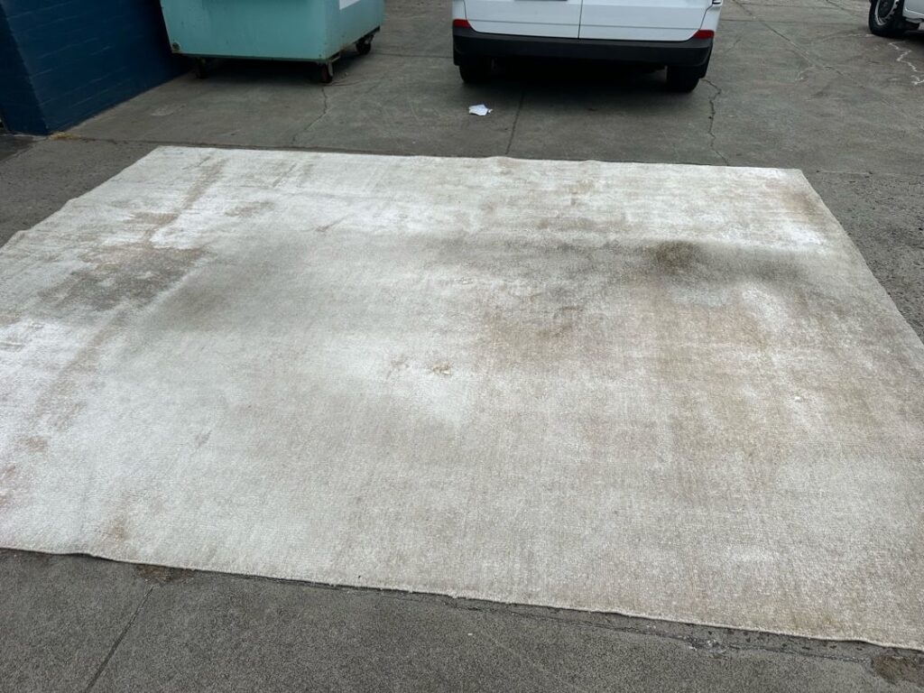 Rug on concrete with visible dirt, white van and blue dumpster in background.
