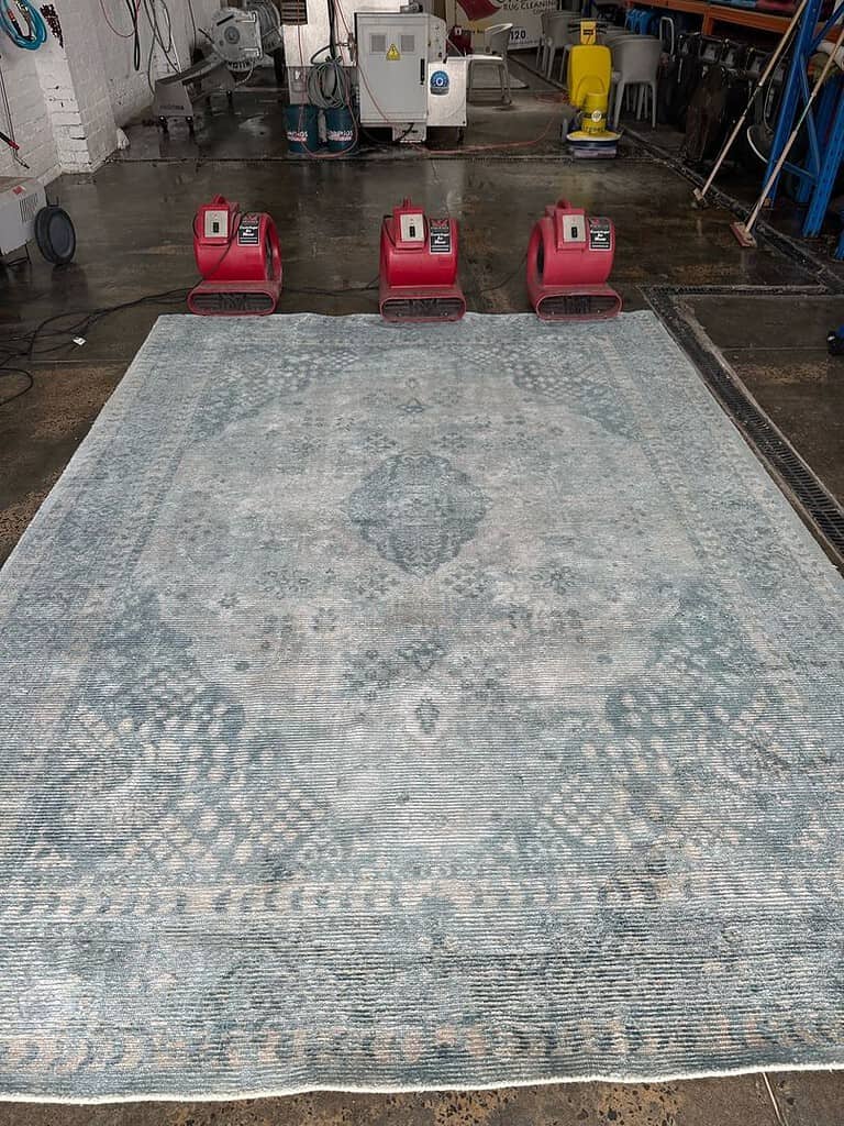 Rug Drying Process in Industrial Cleaning Facility Image of a large rug with three red fans in a cleaning facility.