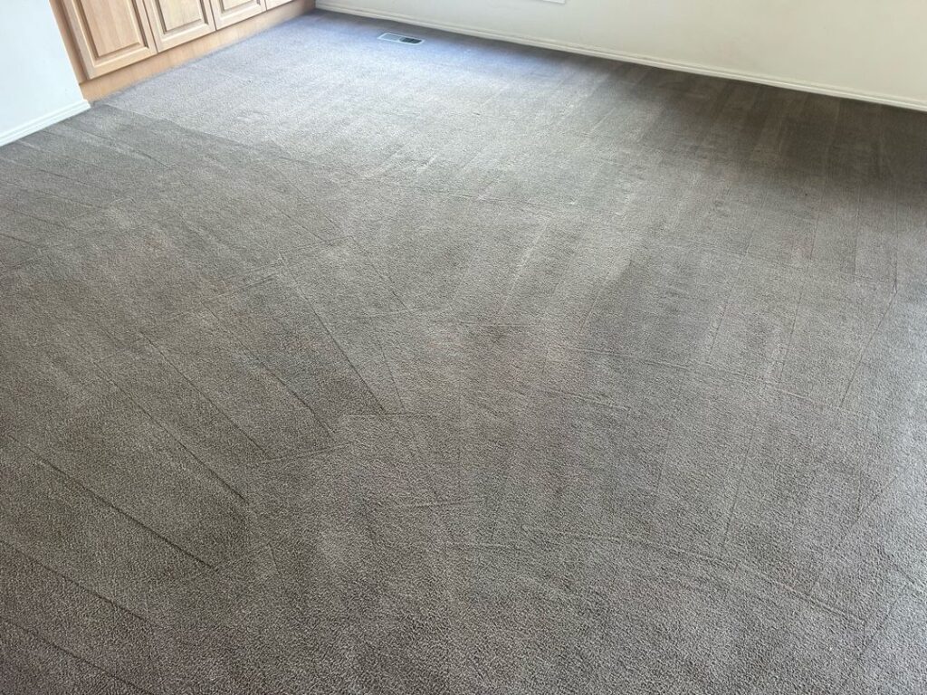Clean Carpet with Vacuum Lines in Residential Room Image of a clean carpet with vacuum lines and wooden cabinets in a residential setting.