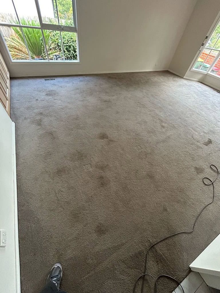 Room with stained carpet and natural light from windows.
