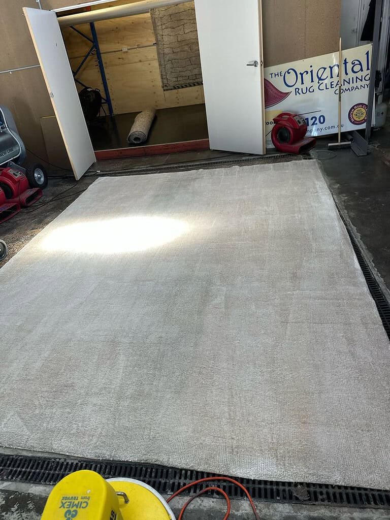 Large rug being cleaned with professional equipment at a rug cleaning company.