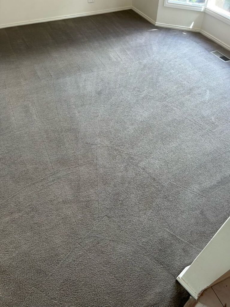 Clean Carpet in Sunlit Room Image of a clean, light grey carpet with vacuum lines in an empty, sunlit room.