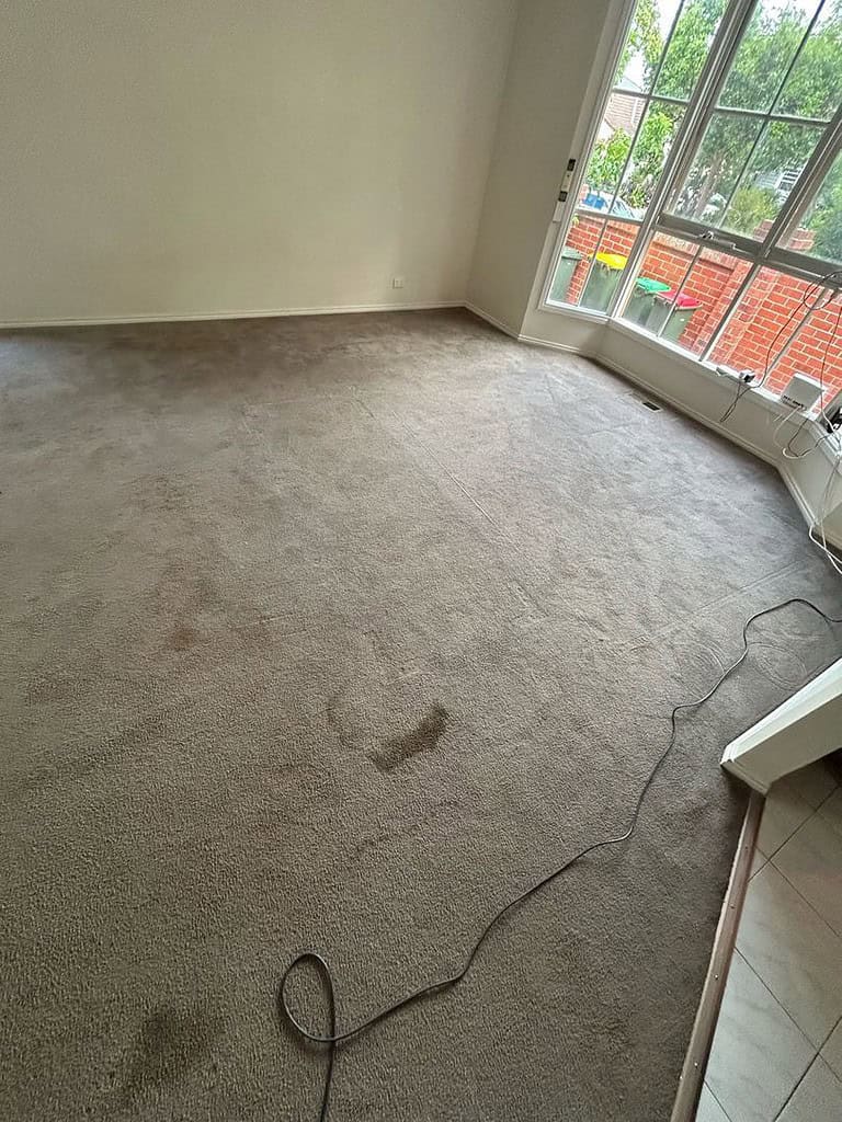 Room with stained carpet and a black cable near a large window.