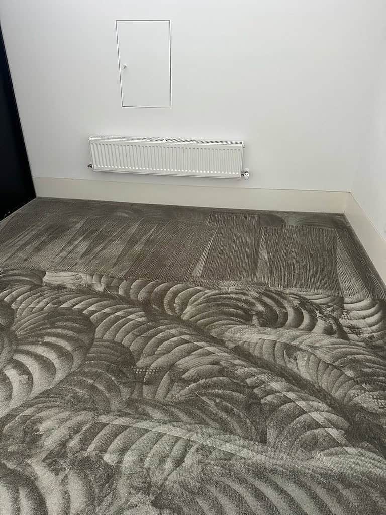 Room with plush carpet showing intricate cleaning patterns and a white radiator on the wall.