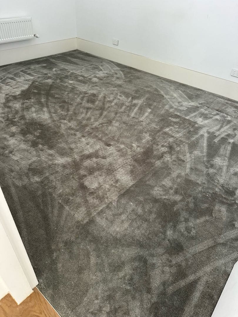 Image of a clean plush carpet in an empty room with visible cleaning marks.