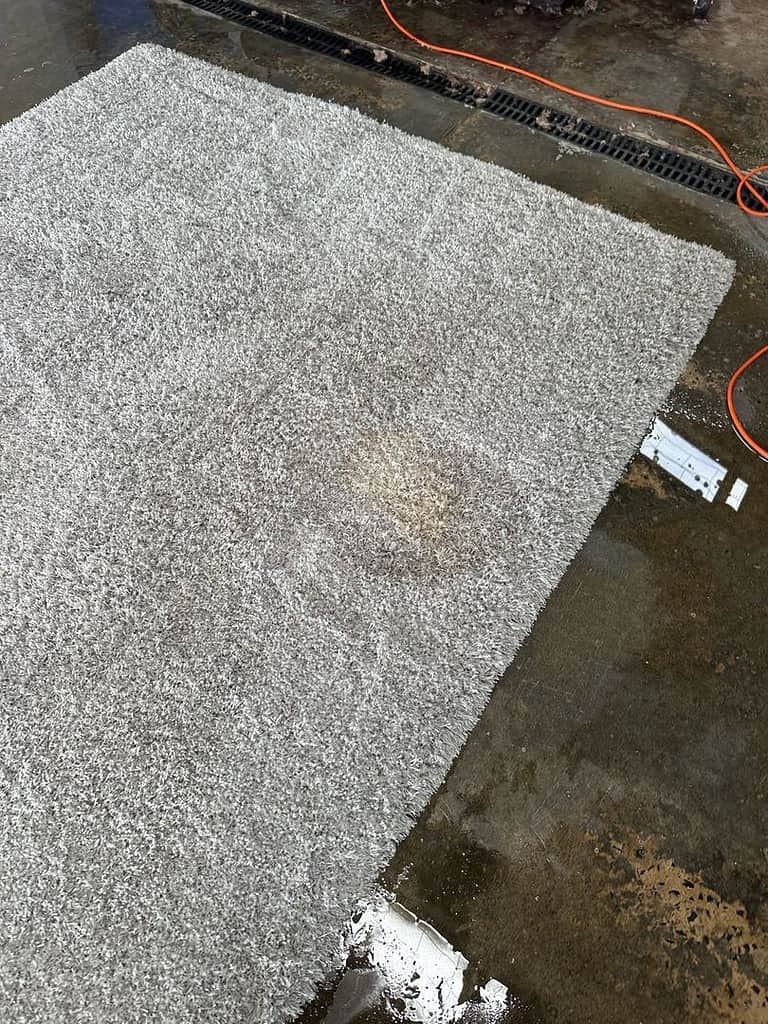 Stained Carpet on Wet Floor in Cleaning Facility Carpet with stain on wet concrete floor, indicating a cleaning process.
