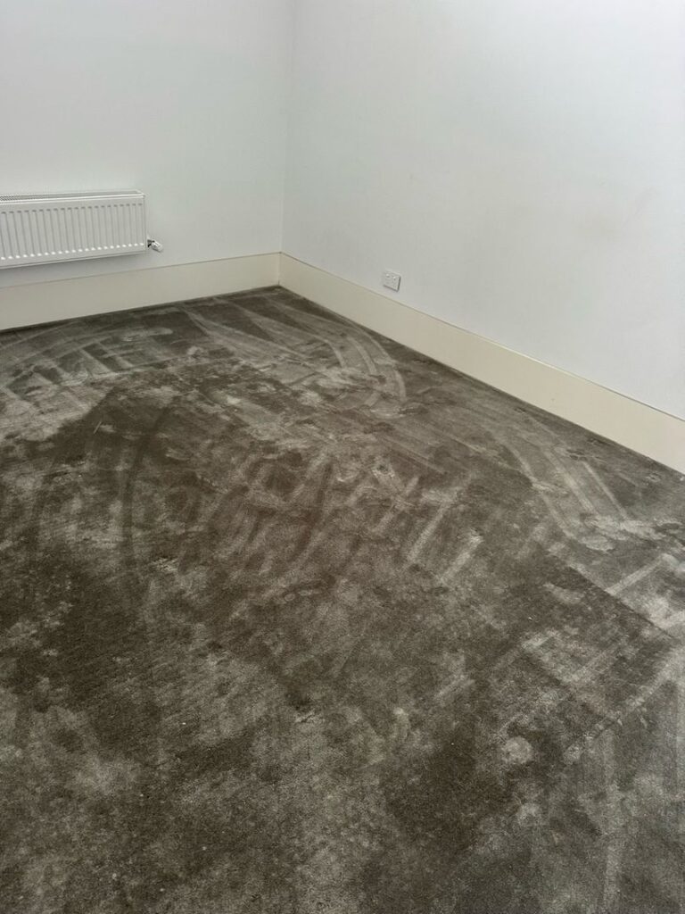 Room with plush carpet showing cleaning patterns, white walls, and a radiator.