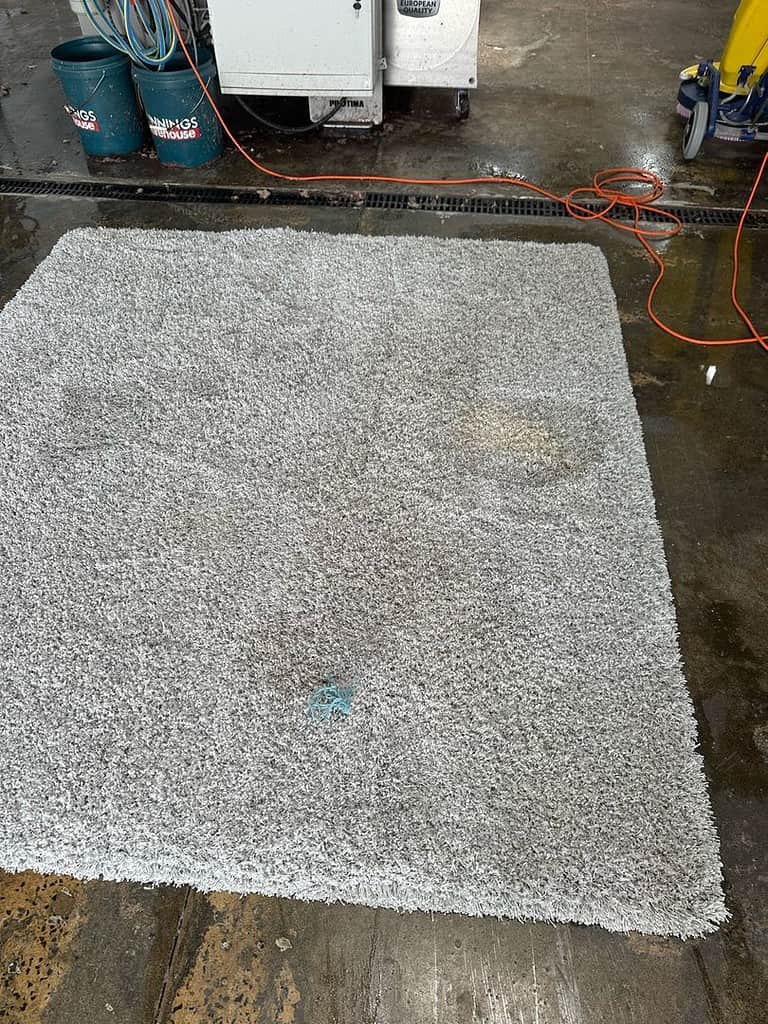 Industrial Carpet Cleaning Setup Carpet with stains in an industrial area with cleaning equipment and buckets.