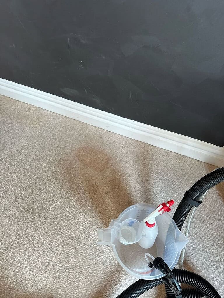 Cleaning tools on a stained carpet next to a black wall.