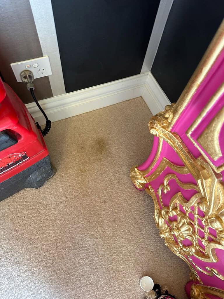 Corner of a room with stained carpet, cleaning machine, and ornate furniture.