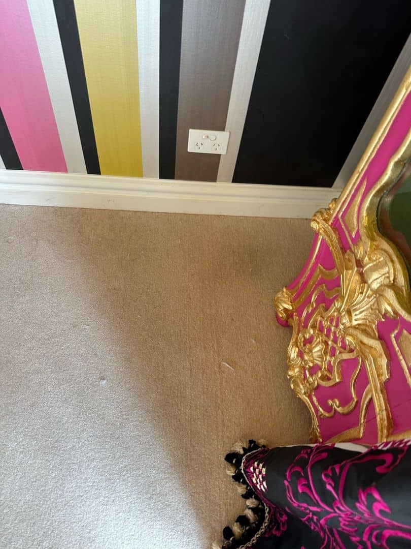 Striped wall with power outlet above beige carpet and ornate decor.